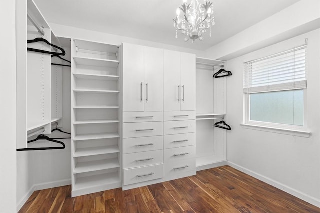6551 Fair Valley Trl, Austin, TX 78749 - walk in closet with dark wood-type flooring and a chandelier