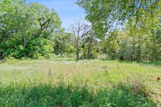 view of tree filled area