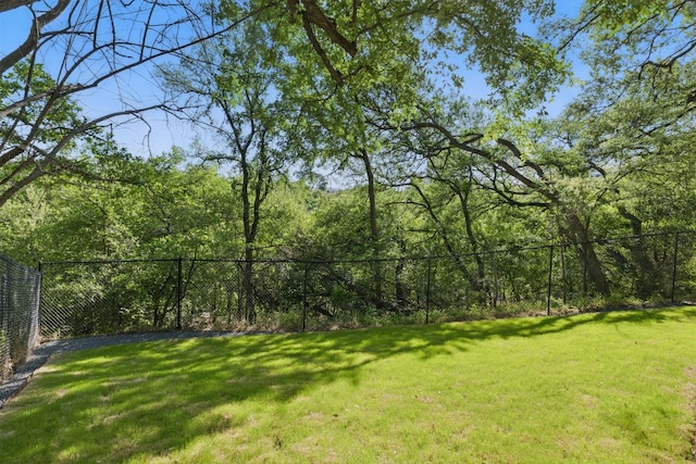 1006 Gaston Ave, Austin, TX 78703 - view of yard with a forest view and fence