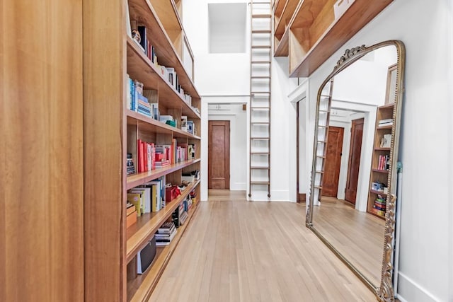 hallway with light wood-style floors