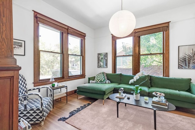 living room featuring wood finished floors