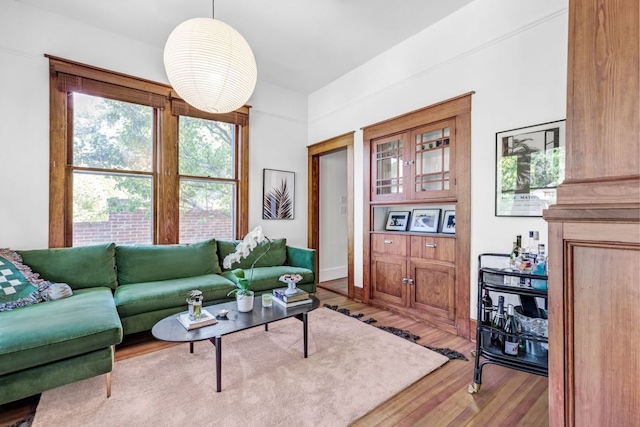 living room featuring wood finished floors