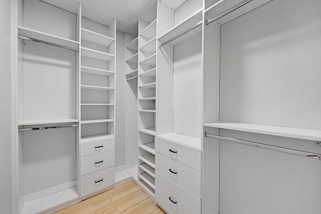 702 W Mary St, Austin, TX 78704 - spacious closet with light wood-type flooring