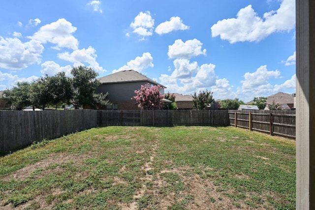 233 Stella Gold St, Buda, TX 78610 - photo 40
