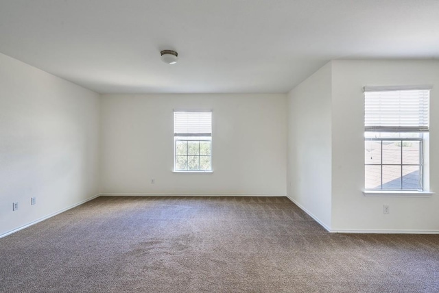 233 Stella Gold St, Buda, TX 78610 - photo 23