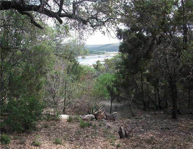 18113 Gregg Bluff Rd, Jonestown, TX 78645