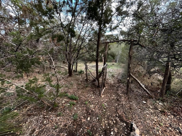 18113 Gregg Bluff Rd, Jonestown, TX 78645