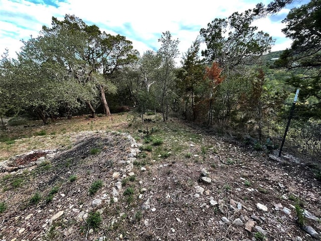 18113 Gregg Bluff Rd, Jonestown, TX 78645