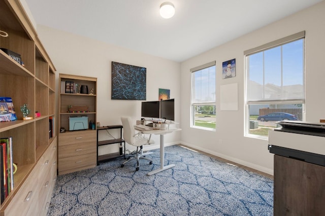 1921 Winston Way, Leander, TX 78641 - home office with baseboards