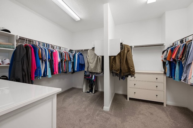 1921 Winston Way, Leander, TX 78641 - spacious closet with light colored carpet