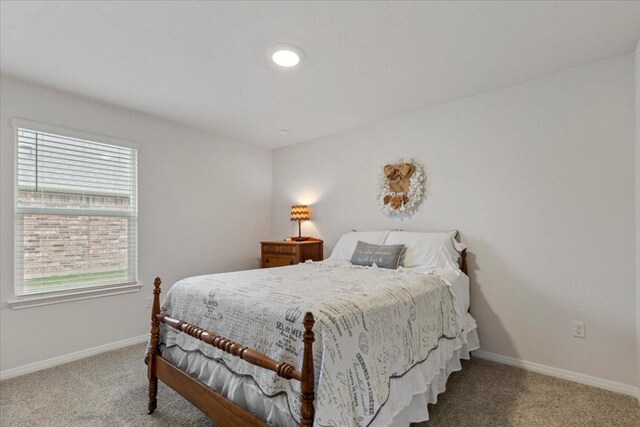 109 Sandpiper Dr, Bastrop, TX 78602 - carpeted bedroom with baseboards