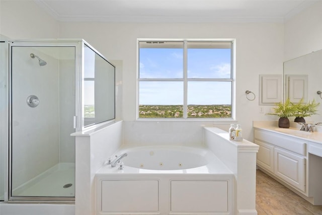 12400 Fairfax Ridge Pl, Austin, TX 78738 - full bath featuring a shower stall, vanity, a whirlpool tub, and crown molding