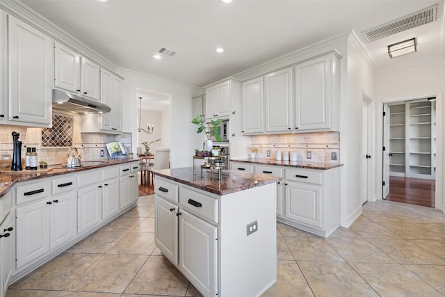12400 Fairfax Ridge Pl, Austin, TX 78738 - kitchen with under cabinet range hood, ornamental molding, white cabinets, decorative backsplash, and dark stone countertops