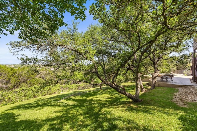 12400 Fairfax Ridge Pl, Austin, TX 78738 - view of green lawn with a patio