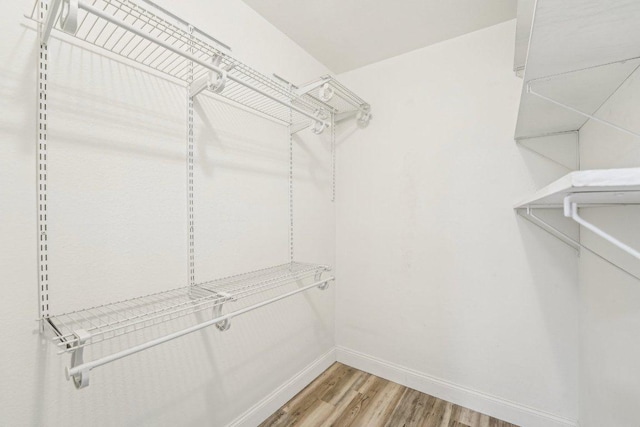 6111 Bridlington Cir, Austin, TX 78745 - walk in closet with light wood-type flooring