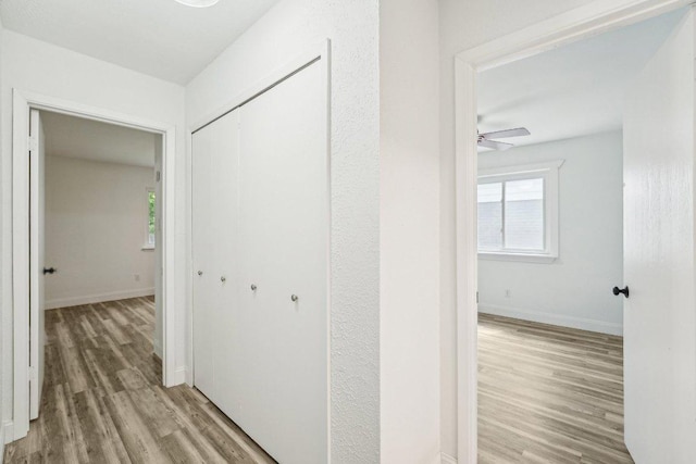 6111 Bridlington Cir, Austin, TX 78745 - hall with light wood-type flooring