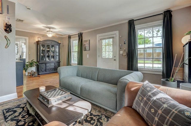 809 E 44th St, Austin, TX 78751 - living room with plenty of natural light, wood finished floors, crown molding, ceiling fan, and baseboards