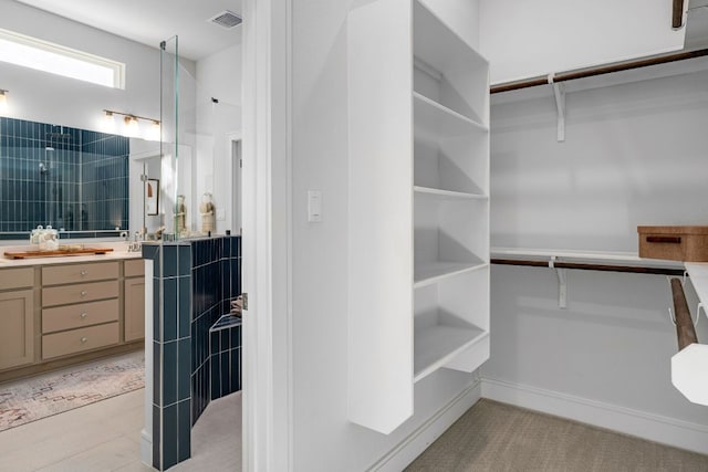 17508 Emperador Dr Unit 65, Pflugerville, TX 78664 - view of spacious closet