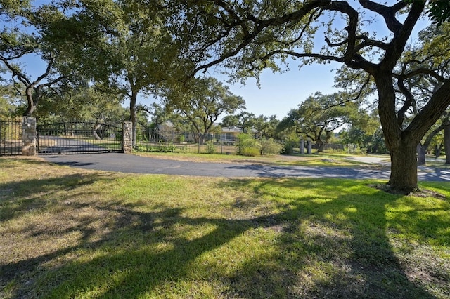 11406 Boulder Ln, Austin, TX 78726 - photo 40