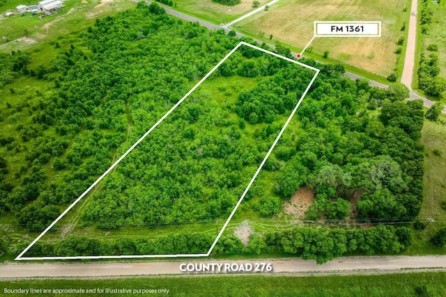 10366 County Road 276th Land, Somerville, TX 77879 - photo 1