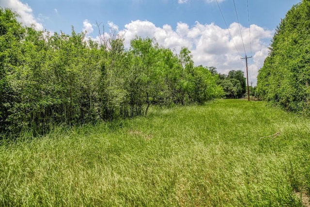 10366 County Road 276th Land, Somerville, TX 77879 - photo 2
