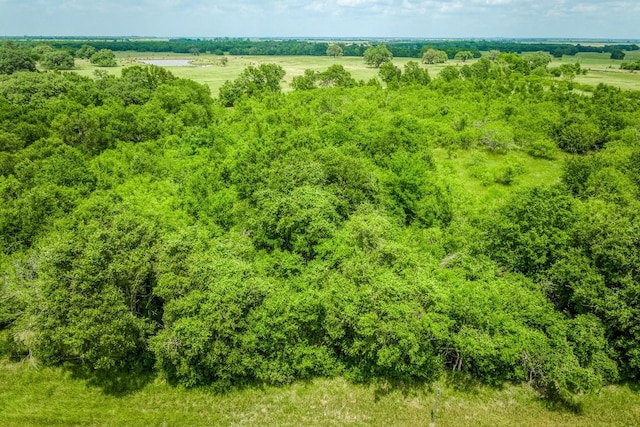 10366 County Road 276th Land, Somerville, TX 77879 - photo 3