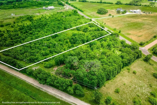 10366 County Road 276th Land, Somerville, TX 77879 - photo 5