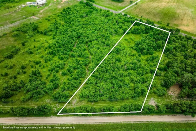 10366 County Road 276th Land, Somerville, TX 77879 - photo 6