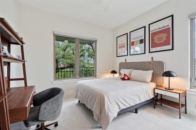 710 Crestone Stream Dr, Austin, TX 78738 - bedroom with light colored carpet