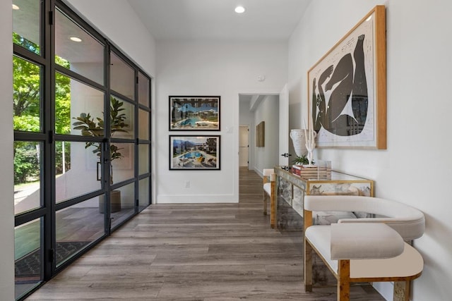 6103 Twin Ledge Dr, Austin, TX 78731 - hallway featuring wood finished floors, recessed lighting, and french doors