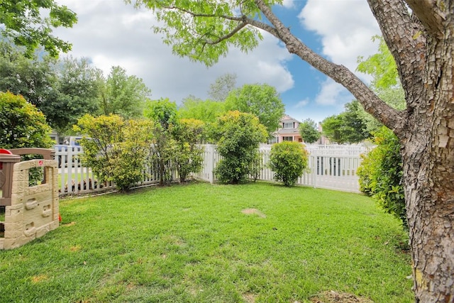 161 Caraway, Kyle, TX 78640 - view of yard