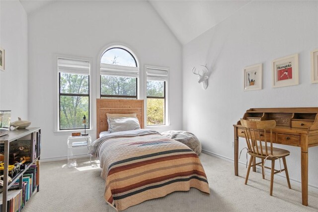 20 Hedgebrook Way, The Hills, TX 78738 - carpeted bedroom with high vaulted ceiling and baseboards