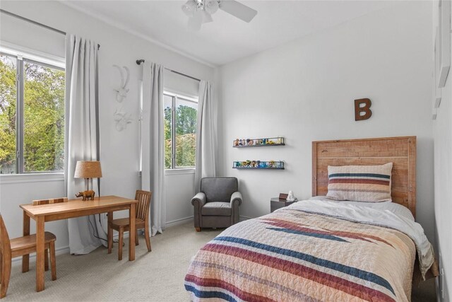 20 Hedgebrook Way, The Hills, TX 78738 - bedroom featuring carpet flooring and ceiling fan
