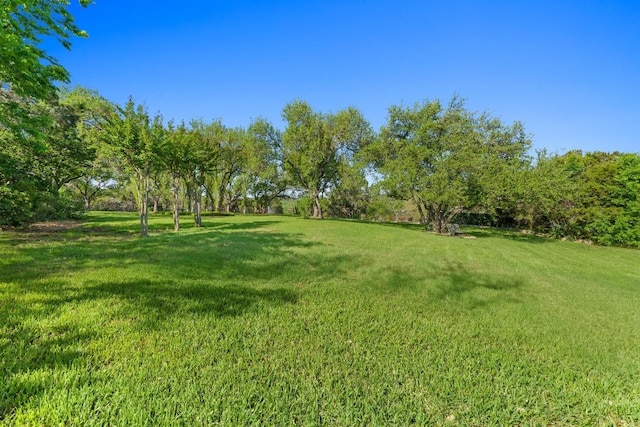 135 N Tumbleweed Trl, Austin, TX 78733 - view of green lawn
