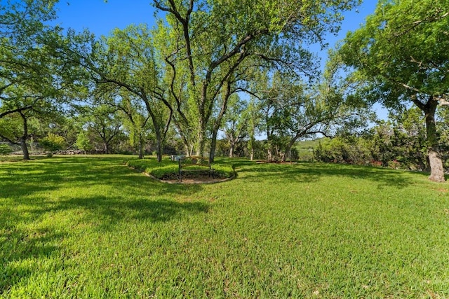 135 N Tumbleweed Trl, Austin, TX 78733 - view of grassy yard