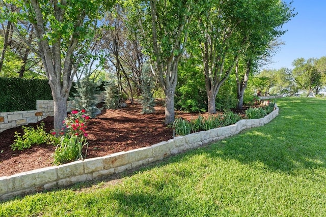 135 N Tumbleweed Trl, Austin, TX 78733 - view of grassy yard
