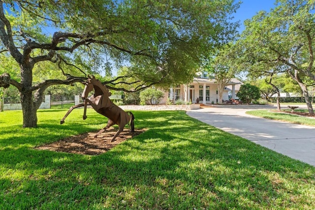 135 N Tumbleweed Trl, Austin, TX 78733 - view of front of property featuring a front yard