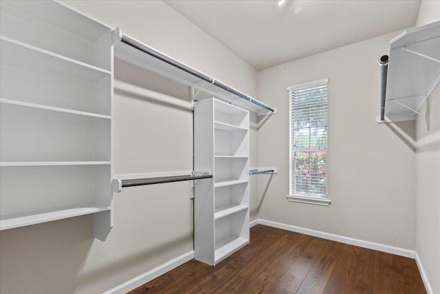 2604 Outlook Ridge Loop, Leander, TX 78641 - walk in closet with hardwood / wood-style flooring