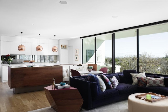 4607 Laurel Canyon Dr, Austin, TX 78731 - living area featuring light wood-style floors and floor to ceiling windows