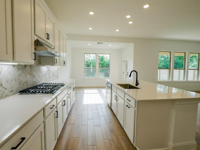 1705 Cayuga St, Leander, TX 78641 - kitchen featuring appliances with stainless steel finishes, light wood-style floors, tasteful backsplash, recessed lighting, and under cabinet range hood