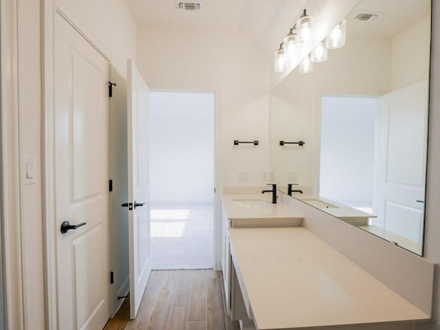 1705 Cayuga St, Leander, TX 78641 - bathroom featuring wood finished floors and vanity