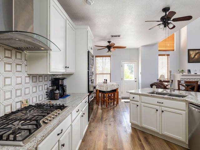 16019 Dark Ln, Austin, TX 78717 - kitchen with island range hood, appliances with stainless steel finishes, a ceiling fan, a sink, and light wood-type flooring