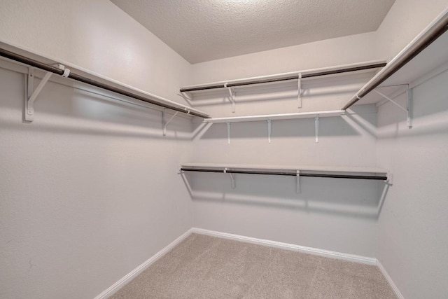 walk in closet featuring carpet floors