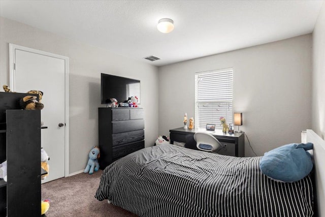 13625 Coomer Path, Pflugerville, TX 78660 - view of carpeted bedroom