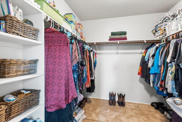 13625 Coomer Path, Pflugerville, TX 78660 - spacious closet with carpet floors