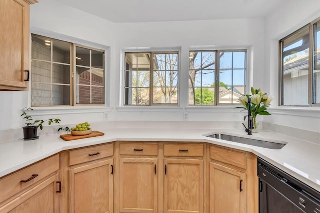 kitchen featuring light countertops, dishwashing machine, a sink, and a healthy amount of sunlight
