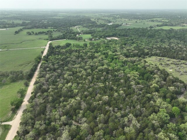 TBD(43.65Acres) County Road 126, Caldwell, TX 77836 - photo 18