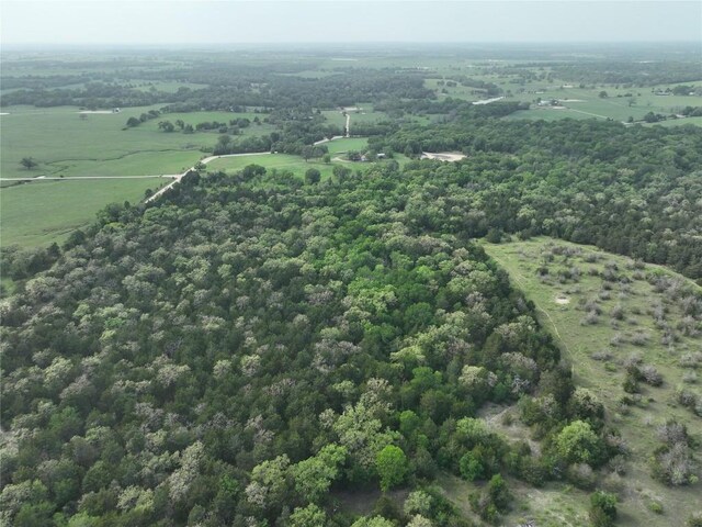 TBD(43.65Acres) County Road 126, Caldwell, TX 77836 - photo 19