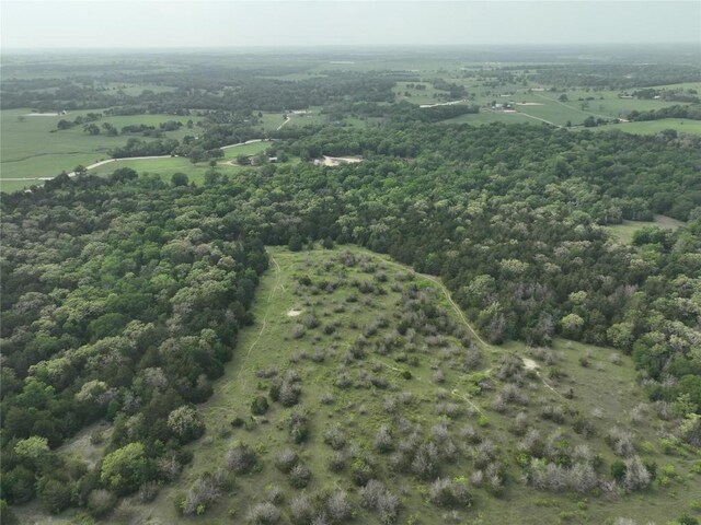 TBD(43.65Acres) County Road 126, Caldwell, TX 77836 - photo 20