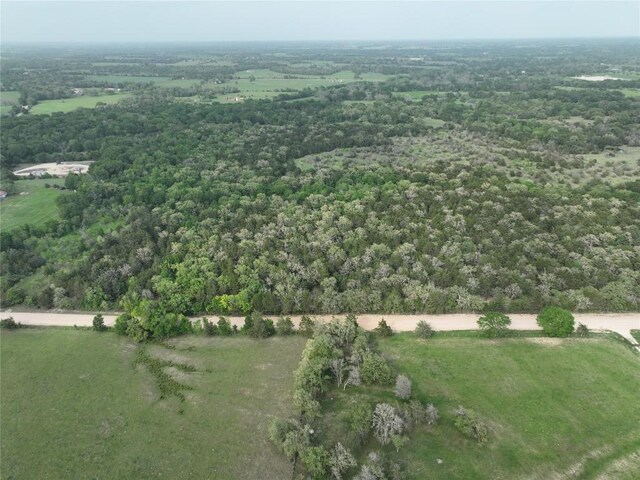 TBD(43.65Acres) County Road 126, Caldwell, TX 77836 - photo 21